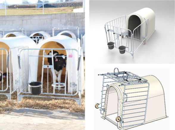 Calf Hutches and Calf Pens