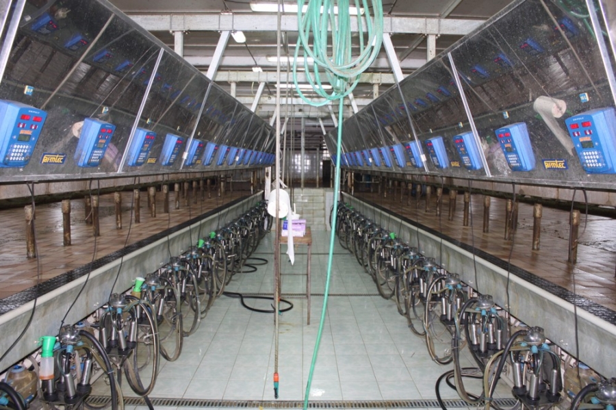 Milking parlor PARALLEL
