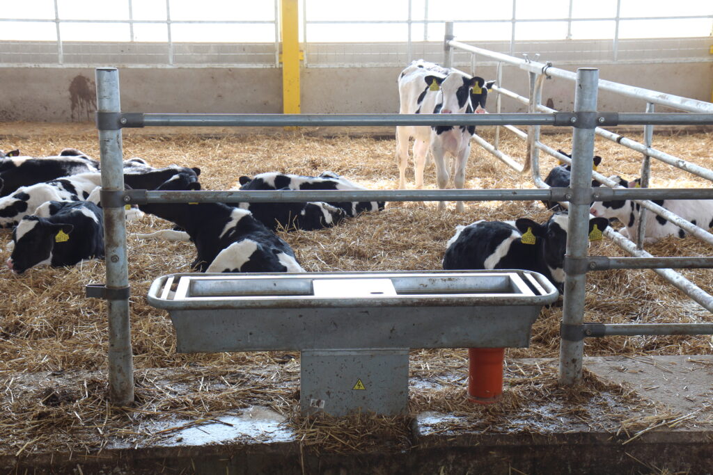 The best livestock drinking troughs